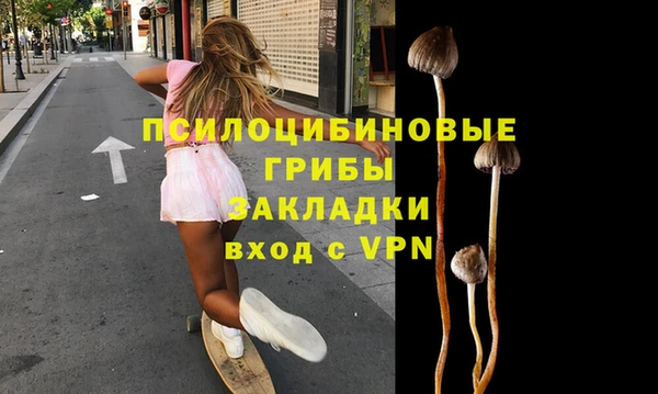 спайс Богородск
