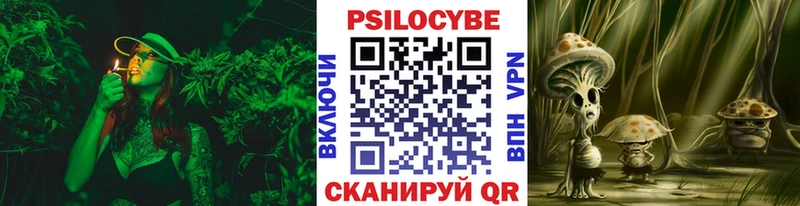 Галлюциногенные грибы Magic Shrooms  сколько стоит  ссылка на мегу ONION  Кинешма 
